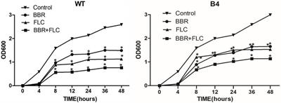 Study on the mechanisms of action of berberine combined with fluconazole against fluconazole-resistant strains of Talaromyces marneffei